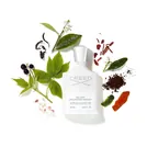 Creed Silver Mountain Water image 4
